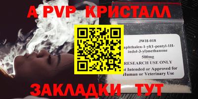 дмт Бердск