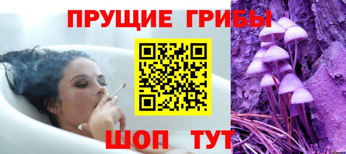 Галлюциногенные грибы MAGIC MUSHROOMS  как найти закладки  Выборг  Вход с VPN  Галлюциногенные грибы MAGIC MUSHROOMS 