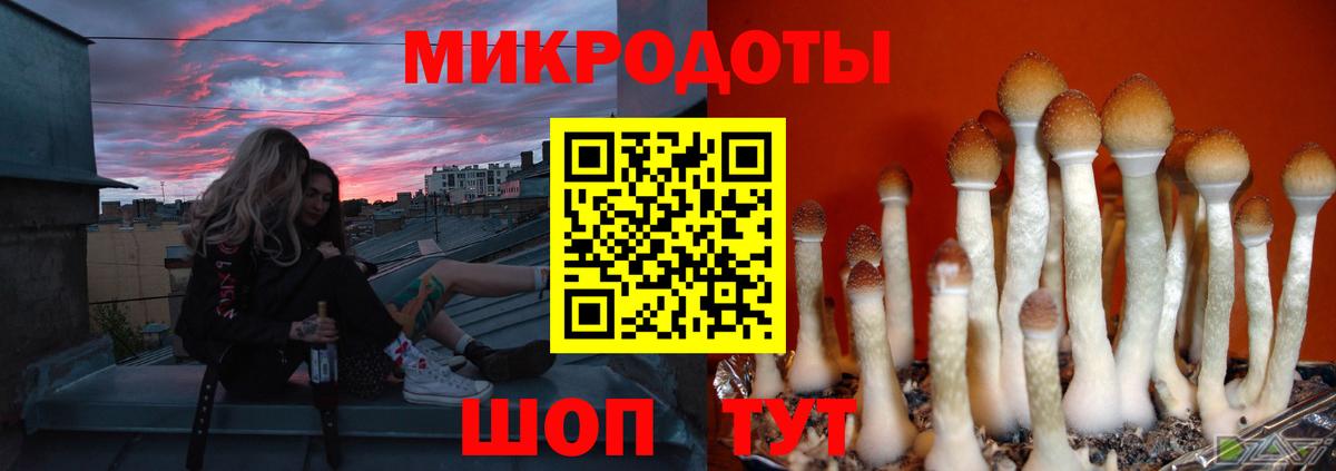 Марихуана Выборг